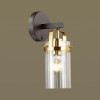 Светильник настенный 4653/1W Odeon Light Черный/золотой/прозрачный