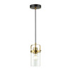Светильник подвесной 4653/1 Odeon Light Черный/золотой/прозрачный