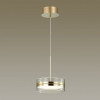 Светильник подвесной 4729/14L Odeon Light Золотой/прозрачный