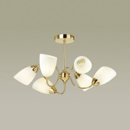 Люстра 4532/6C Lumion Золотой, белый