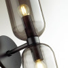 Светильник настенный 4804/2W Odeon Light Черный/дымчатый