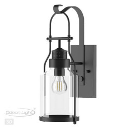 Светильник настенный 4835/1W Odeon Light Черный/стекло