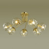 Люстра 4556/7C Lumion Золотой