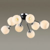 Люстра 4593/8C Lumion Хром, черный