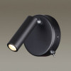 Светильник настенный 5220/3WL Lumion Черный