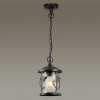 Светильник подвесной 4963/1 Odeon Light Черный/стекло