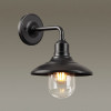 Светильник уличный 4965/1W Odeon Light Черный/стекло