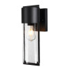Светильник настенный 4962/1W Odeon Light Черный/стекло