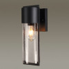 Светильник настенный 4962/1W Odeon Light Черный/стекло
