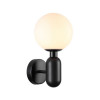Светильник настенный 4668/1W Odeon Light Черный/стекло