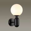 Светильник настенный 4668/1W Odeon Light Черный/стекло