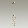 Светильник подвесной 4875/25L Odeon Light Exclusive Золотой/акрил