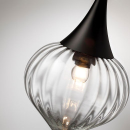 Светильник подвесной 4951/1 Odeon Light Черный/прозрачный/стекло