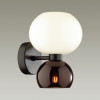 Светильник настенный 4978/2W Odeon Light Черный/белый/бордовый/стекло