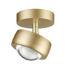 Светильник потолочный 4347/7CL Odeon Light Золото