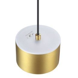 358966 SPOT NT22 272 бронза св. Светильник встраиваемый с перекл. цв. температуры, провод 2м IP20 LED 3000К\4000К\6000К 12W вниз + 3W вверх 110-265V G