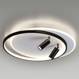 Светильник потолочный 5603/75CL Lumion Белый, черный