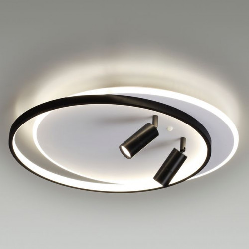 Светильник потолочный 5603/75CL Lumion Белый, черный