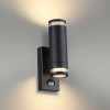 Светильник уличный 6605/2W Odeon Light Черный