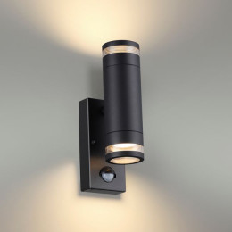 Светильник уличный 6605/2W Odeon Light Черный