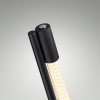 Торшер 4398/15FL Odeon Light Черный