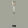 Торшер 4890/1F Odeon Light Exclusive Черный хром/дымчатый/прозрачный