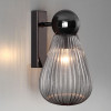 Светильник настенный 5417/1W Odeon Light Exclusive Черный хром/дымчатый