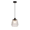 Светильник подвесной 4996/1 Odeon Light Черный/прозрачный/металл/стекло