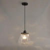 Светильник подвесной 4996/1 Odeon Light Черный/прозрачный/металл/стекло