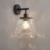 Светильник настенный 4996/1W Odeon Light Черный/прозрачный/металл/стекло
