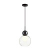 Светильник подвесной 5021/1 Odeon Light Черный/прозрачный/белый матовый металл/стекло