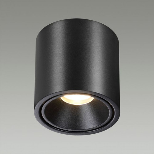 Светильник потолочный 6619/10CL Odeon Light Черный/металл