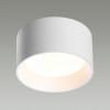 Светильник потолочный 6622/10CL Odeon Light Белый/металл