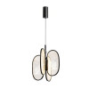 Светильник подвесной 6665/38L Odeon Light Exclusive Черный