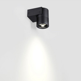 Светильник уличный 6648/6WL Odeon Light Черный