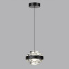 Светильник подвесной 5031/6L Odeon Light Черный/прозрачный