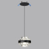 Светильник подвесной 5031/6L Odeon Light Черный/прозрачный