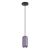Светильник подвесной 5053/1 Odeon Light Черный/сиреневый