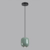 Светильник подвесной 5053/1C Odeon Light Черный/зеленый