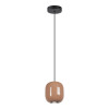 Светильник подвесной 5053/1G Odeon Light Черный/св.терракотовый