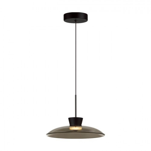 Светильник подвесной 5055/9L Odeon Light Черный/дымчатый