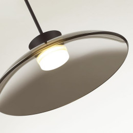 Светильник подвесной 5055/9L Odeon Light Черный/дымчатый