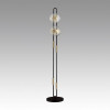 Торшер 5407/23FL Odeon Light Exclusive Черный/золотой