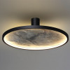 Светильник настенный 5078/45L Odeon Light Матовый черный/серо-бежевый