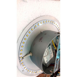 Светильник настенный 3562/9WLY Odeon Light Серебряное фольгирование