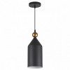 Светильник подвесной 4091/1 Odeon Light Темн.серый/золотой