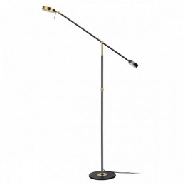 Торшер 4321/20FL Odeon Light Черный