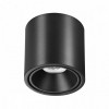 Светильник потолочный 6619/10CL Odeon Light Черный/металл