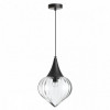 Светильник подвесной 4951/1 Odeon Light Черный/прозрачный/стекло