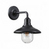 Светильник уличный 4965/1W Odeon Light Черный/стекло